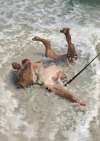Splish Splash