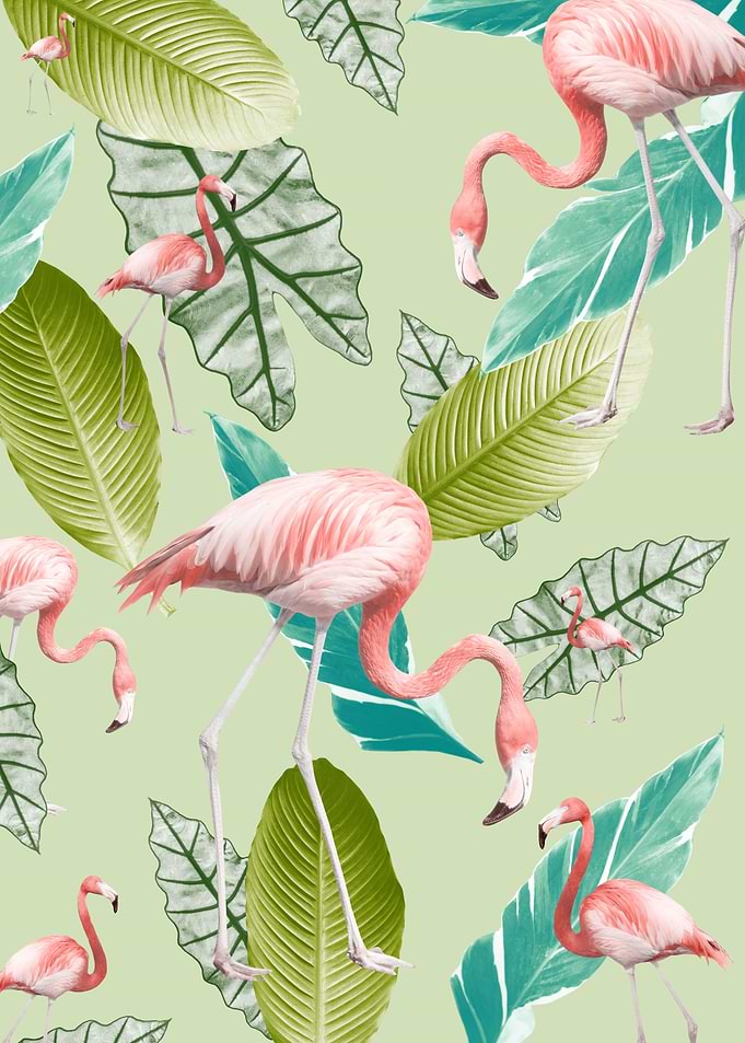 Pastel Flamingo Oasis 1