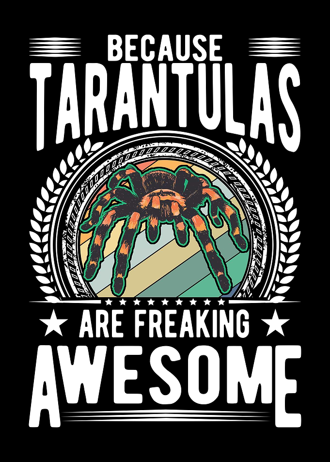 Tarantula Spider