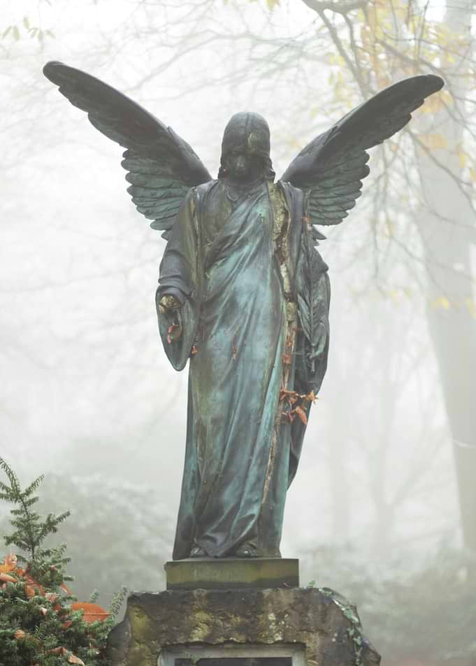 Angels in the Mist