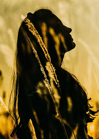 Silhouetted in Nature