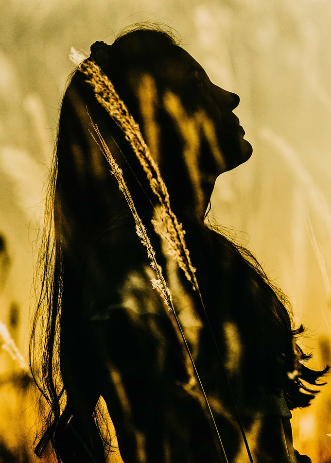 Silhouetted in Nature