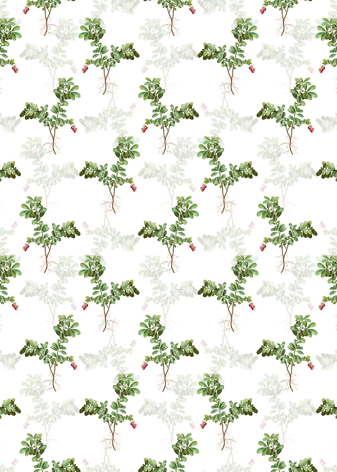 Floral Lingonberry Pattern