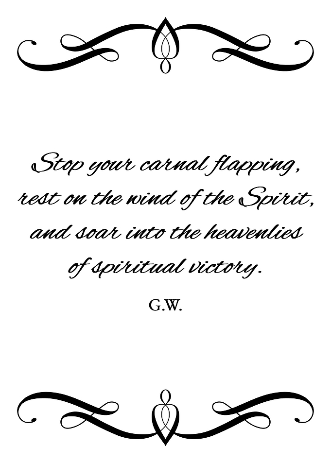 Soar Into Victory