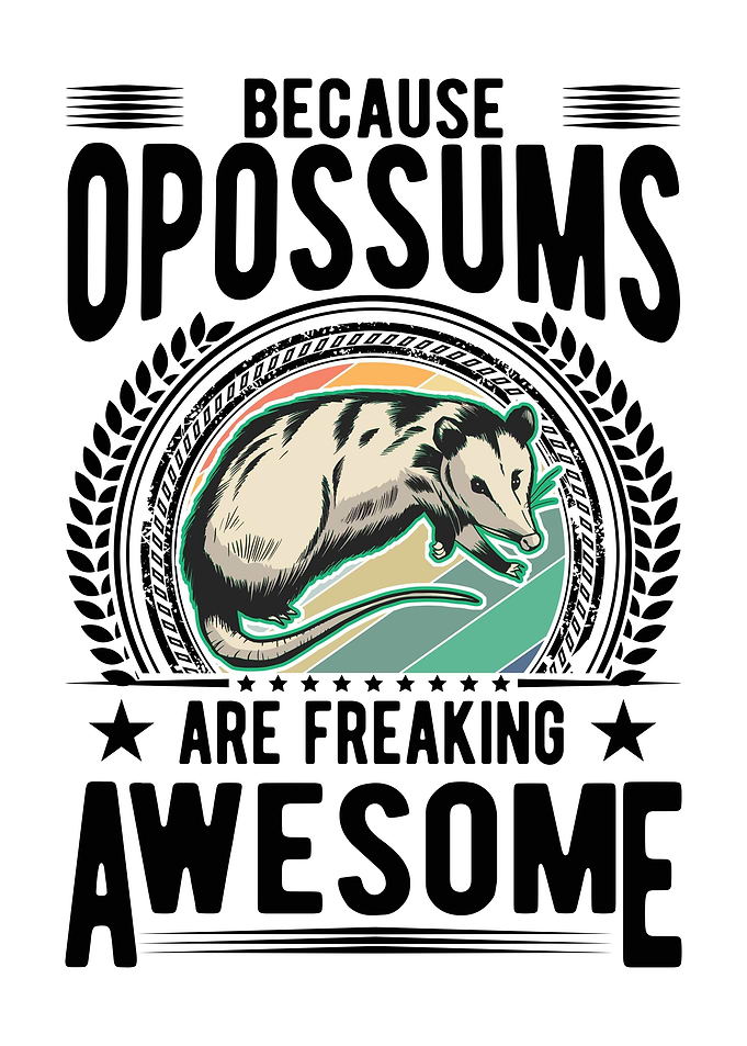 Opossum Gift Possum