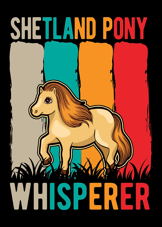 Shetland Pony Shetty