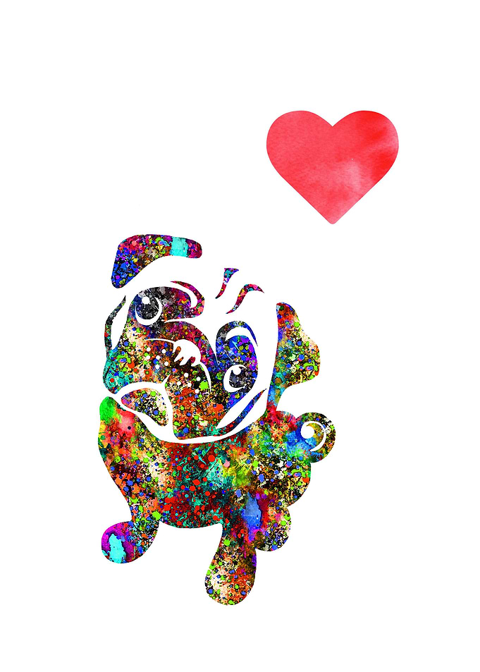 Pug