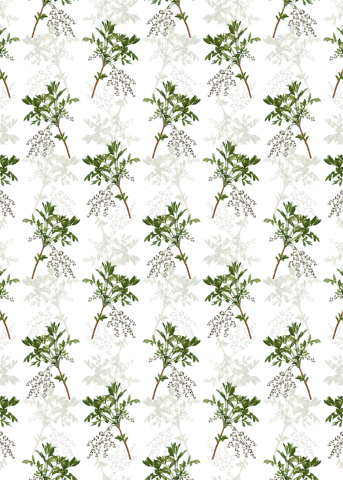 Shrub Yellowroot Pattern