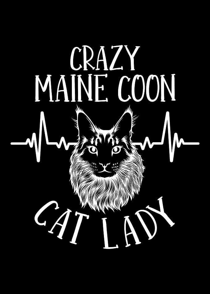 Kitty Cat Costume Meow