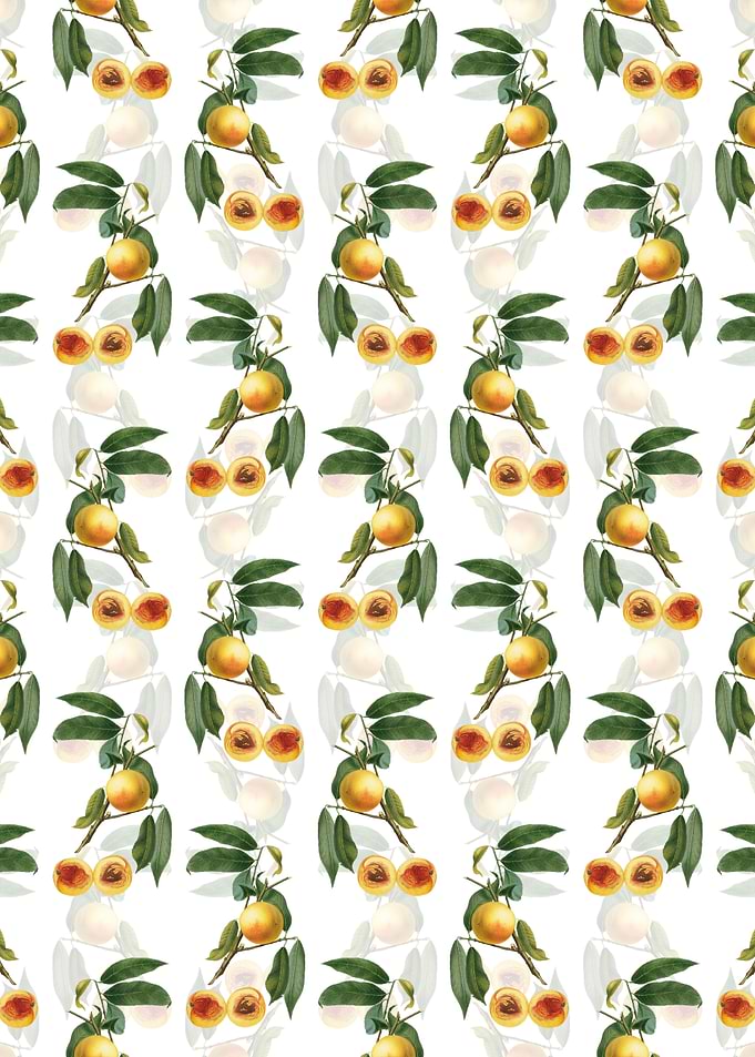 White Floral Peach Pattern
