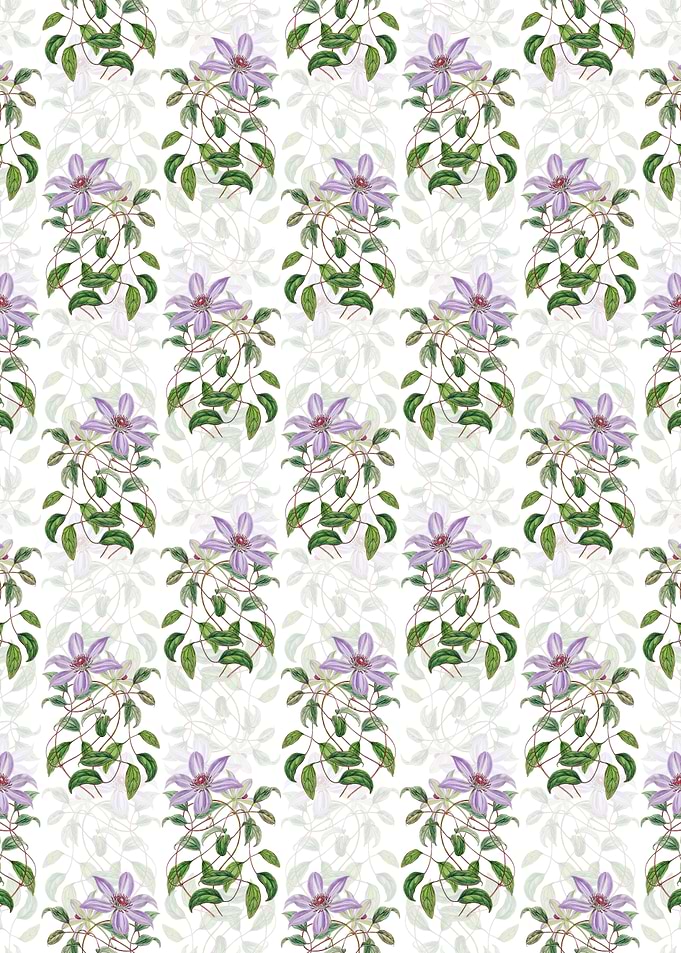 Violet Clematis Flower