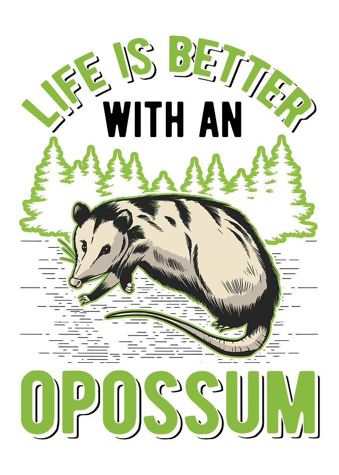Opossum Gift Possum