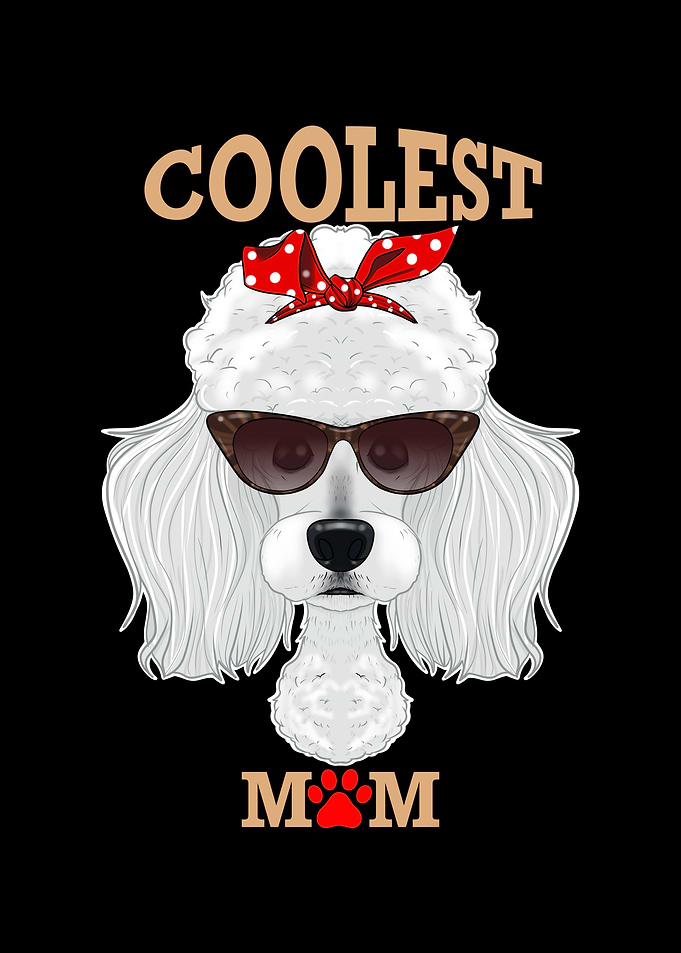 Coolest Dog Mom I Poodle
