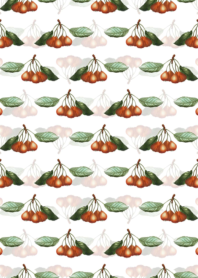 Floral Shipova Pattern