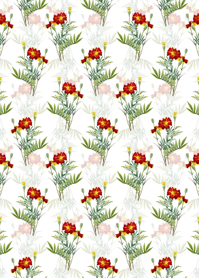 Mexican Marigold Pattern