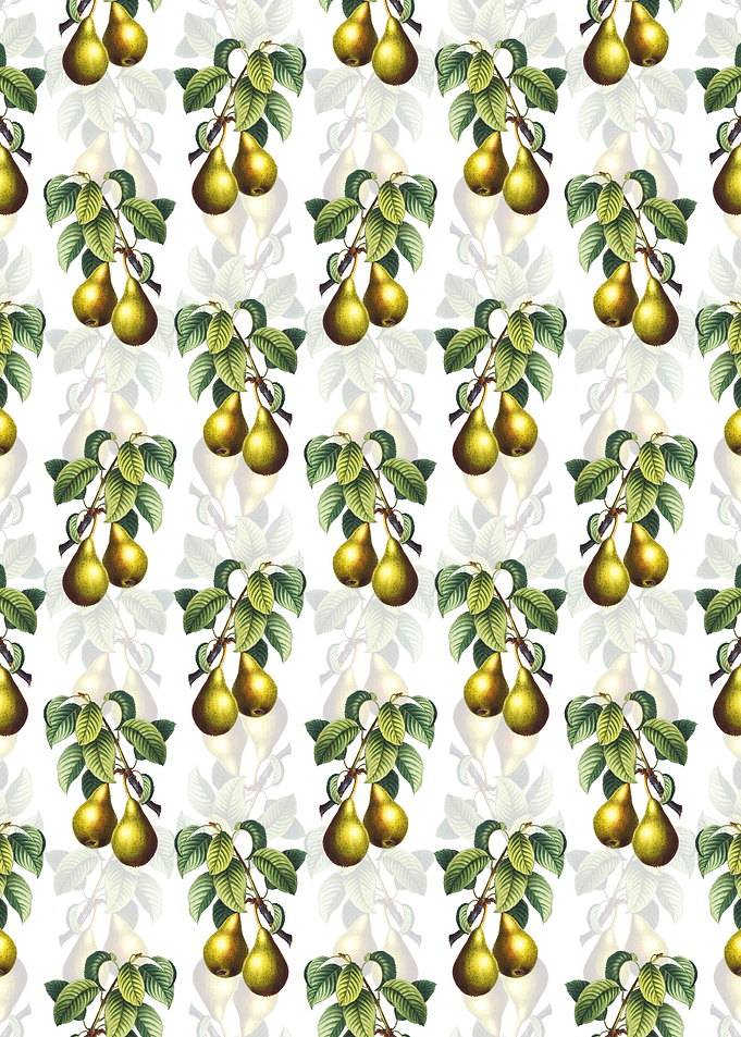 White Floral Pear Pattern