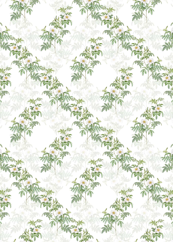 Floral Musk Rose Pattern