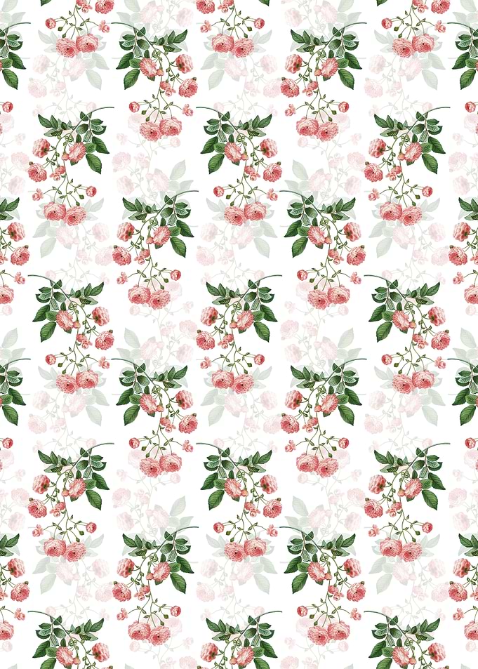 Pink Rambler Roses Pattern