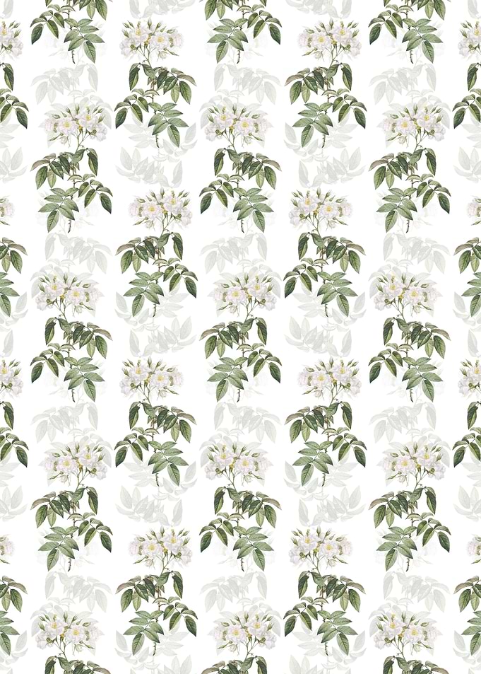 Floral Musk Rose Pattern