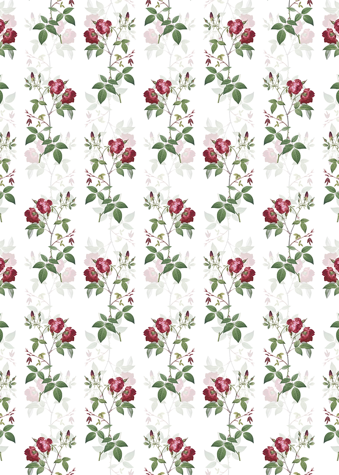 Velvet China Rose Pattern