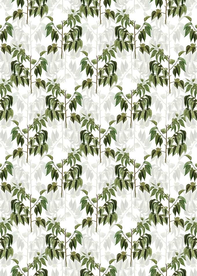 Common Hackberry Pattern