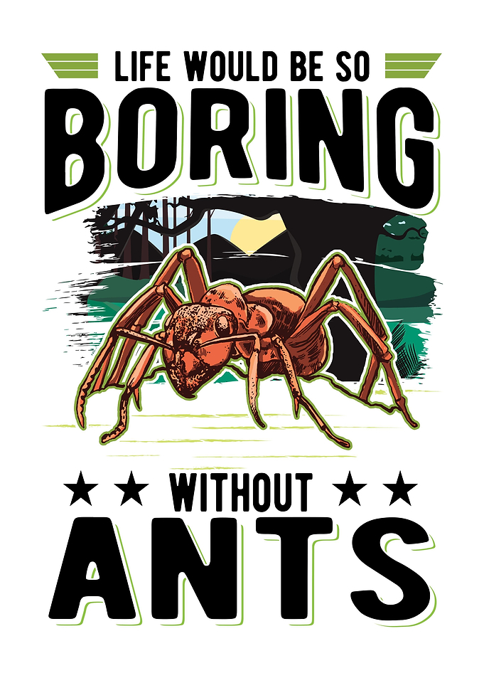 Ant Farm Ant Keeper