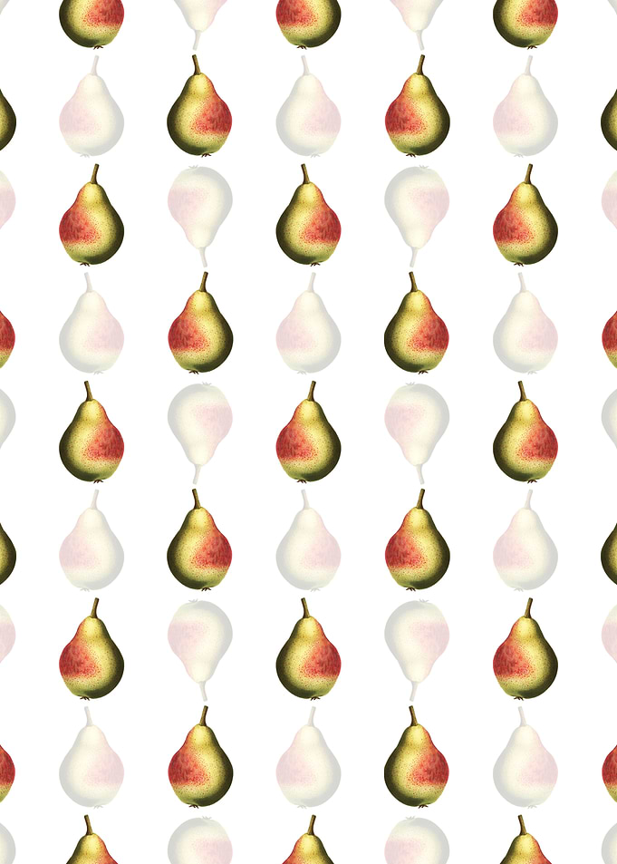 White Floral Pear Pattern