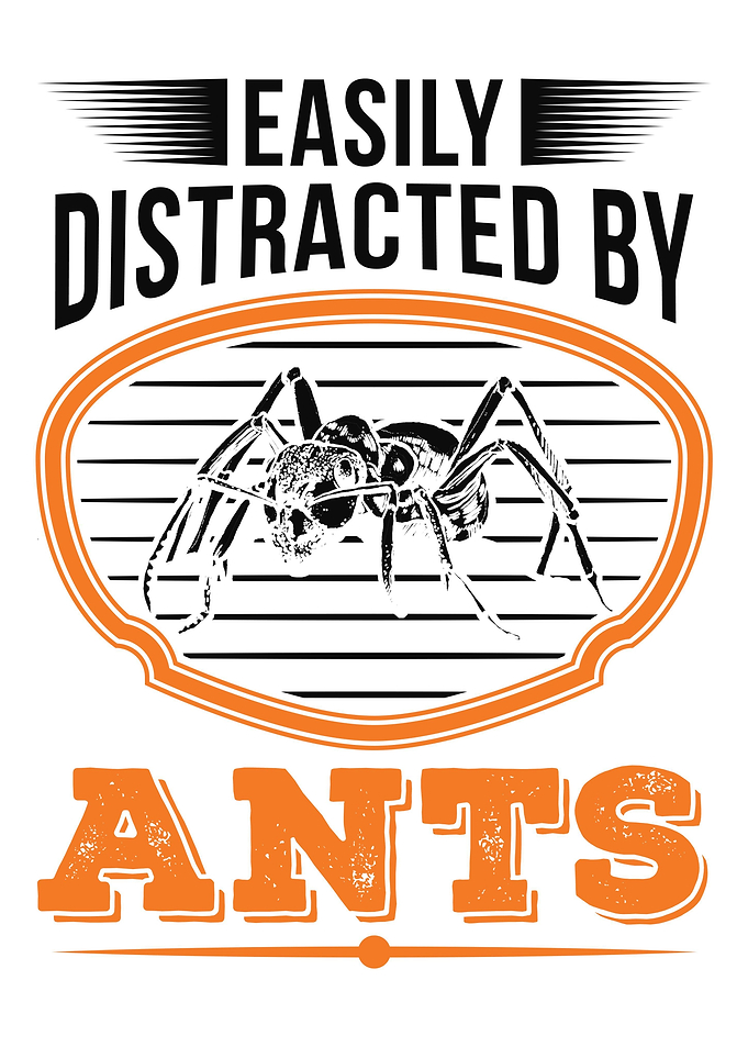 Ant Farm Ant Keeper