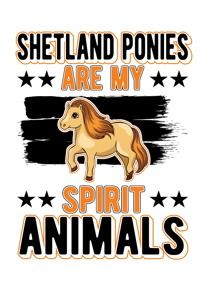 Shetland Pony Shetty