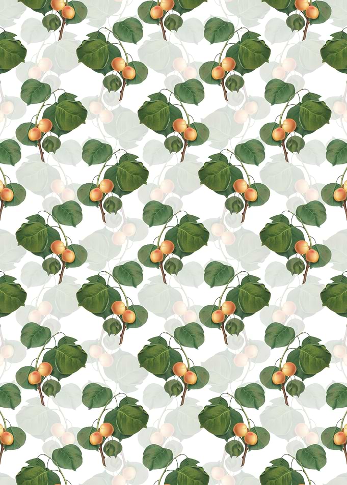 Yellow Apricot Pattern