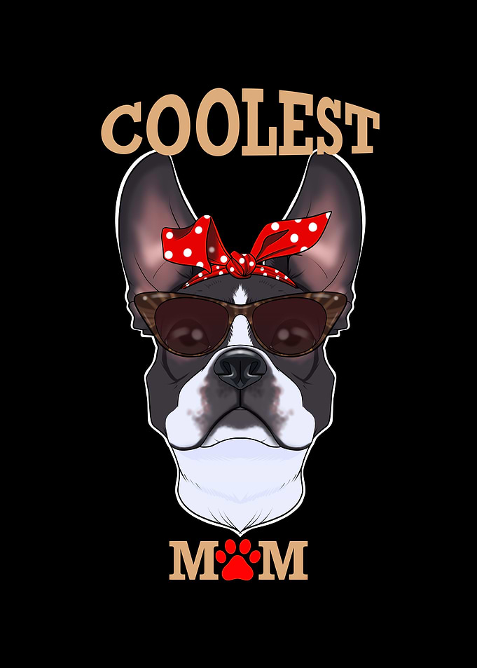 Dog Mom I Boston Terrier