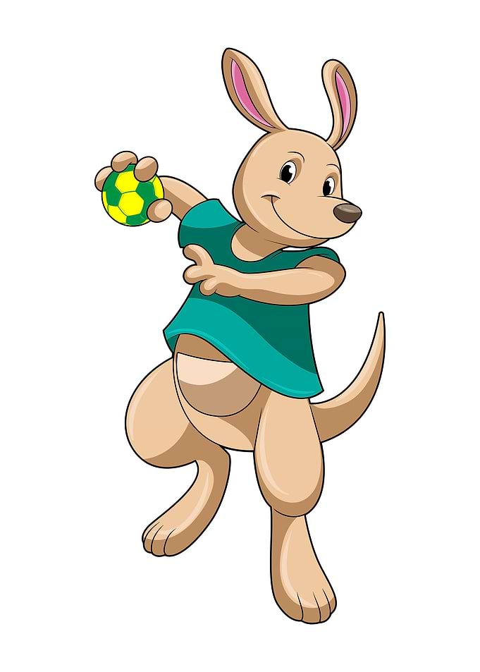 Kangaroo Handball Sports