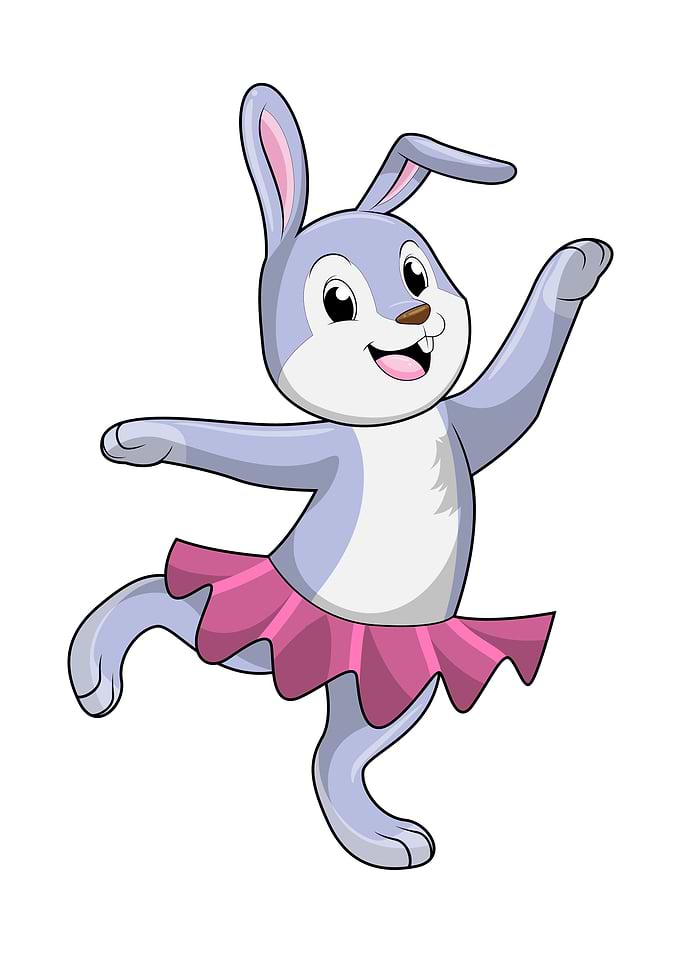 Rabbit Ballerina Ballet