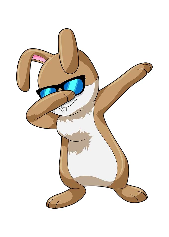 Rabbit Hip Hop Dance