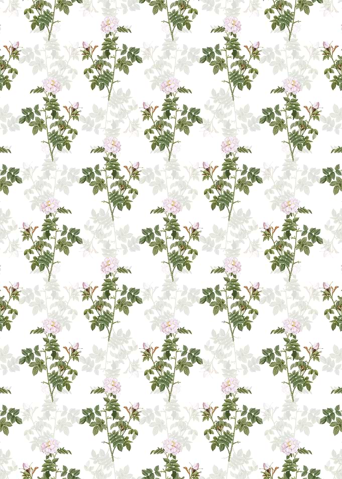 Pink Rosebush Pattern
