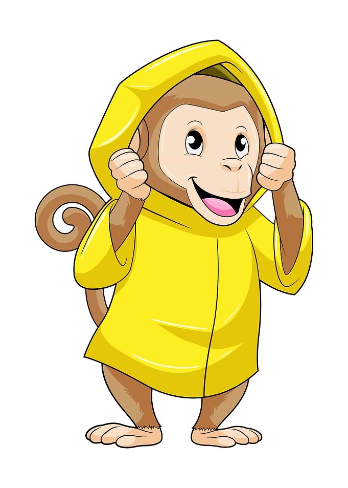 Monkey Rain Raincoat