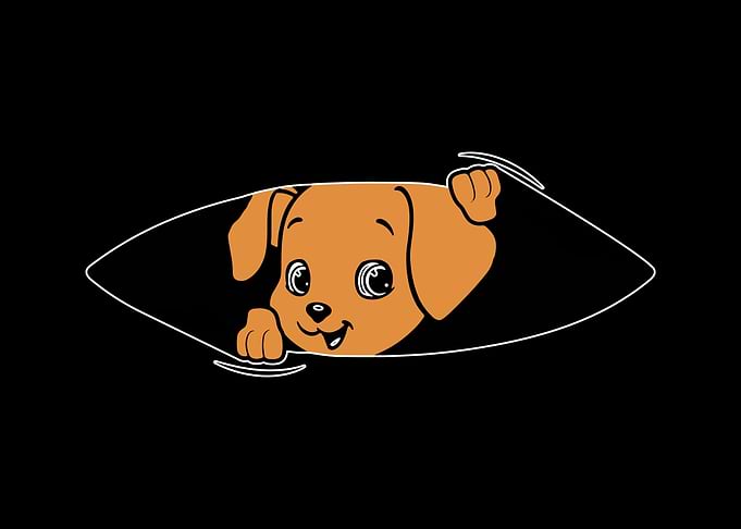 Baby Dog Pregnancy