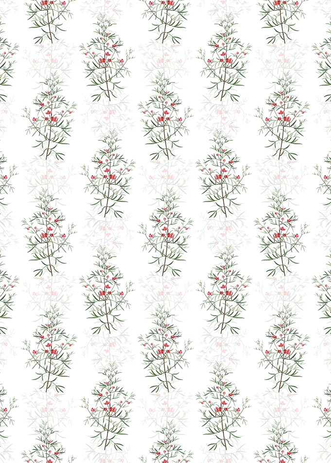 Boronia Pinnata Pattern