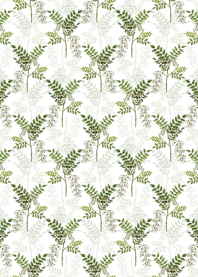 White Black Locust Pattern