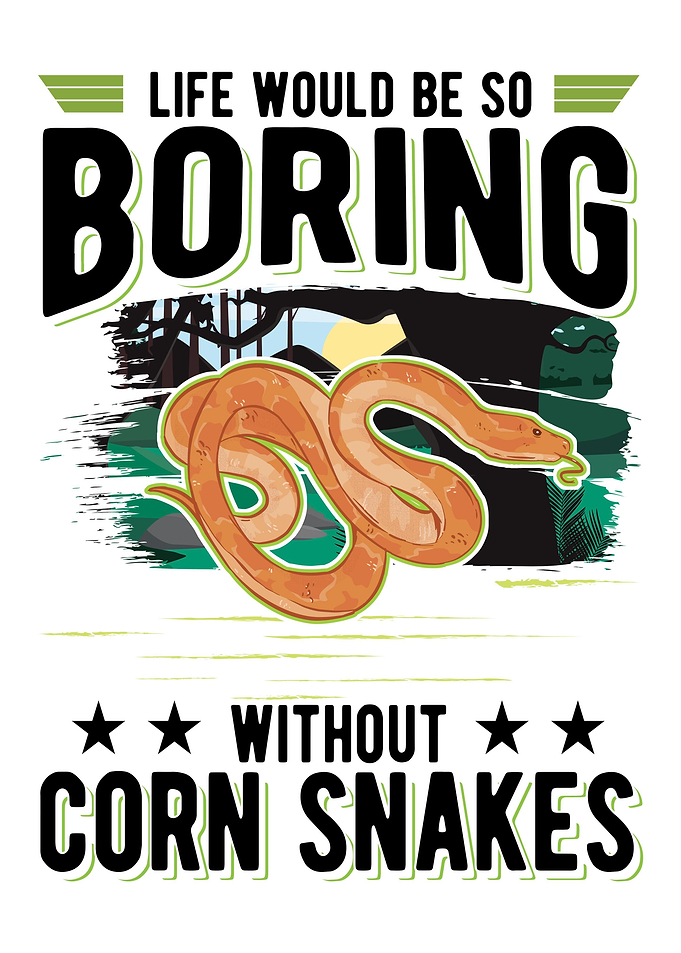 Corn Snake