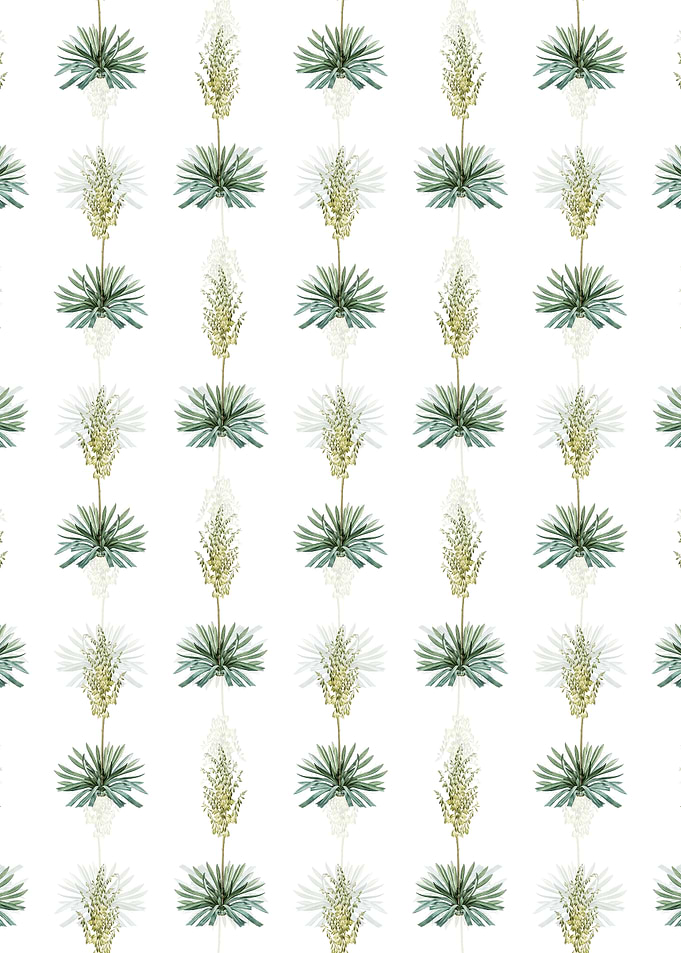 White Adams Needle Pattern