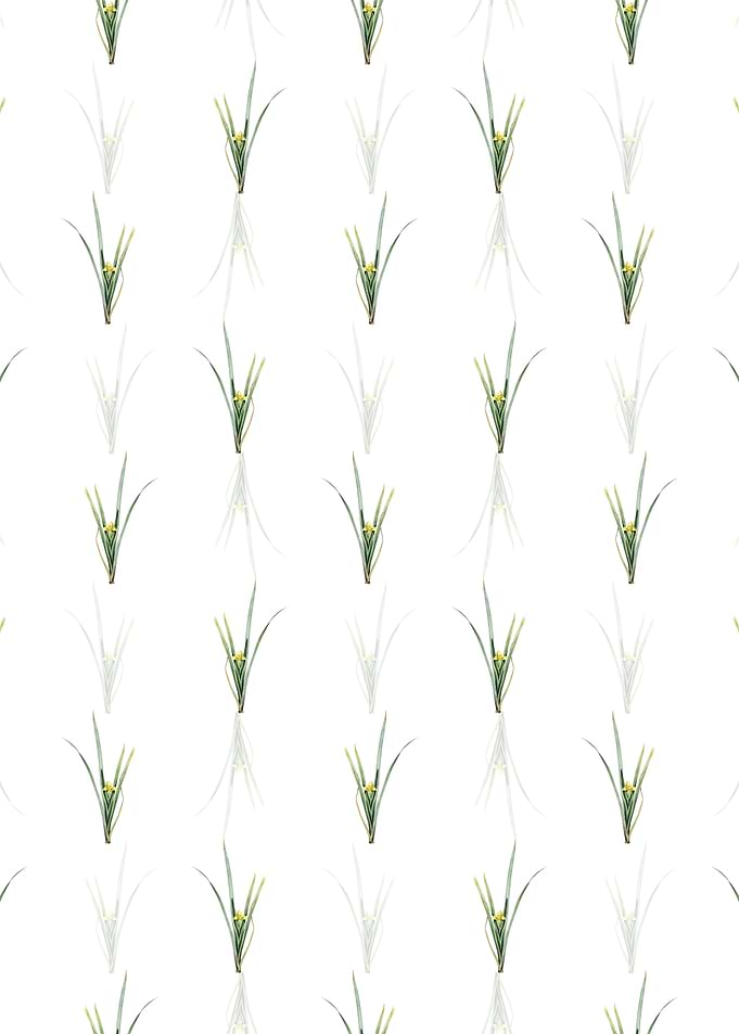Floral Yellow Iris Pattern
