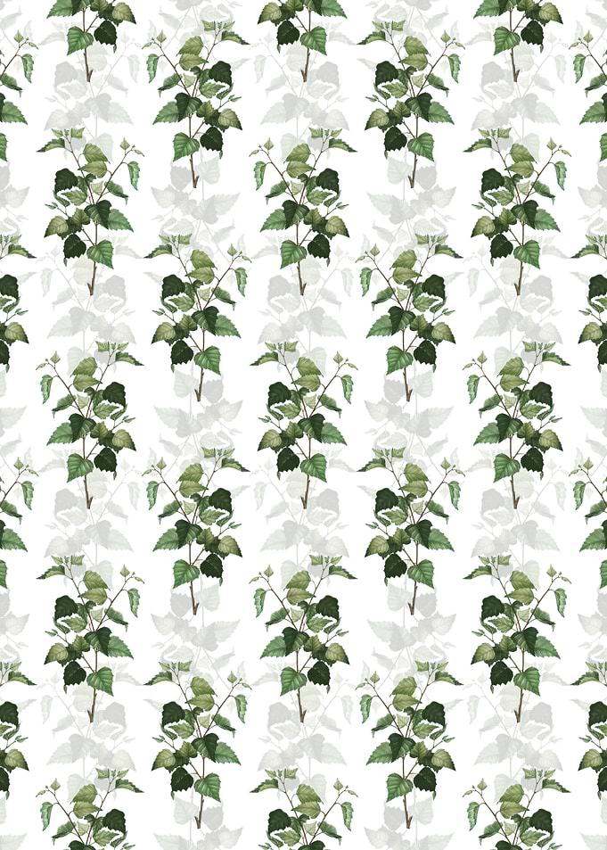 White Silver Birch Pattern