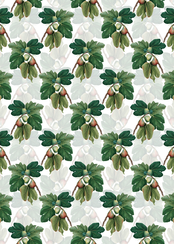 Floral Common Fig Pattern