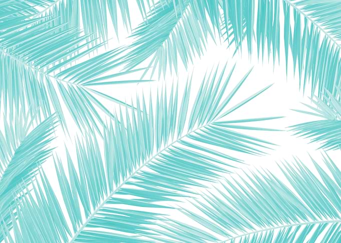 Palm Leaves Jungle 2