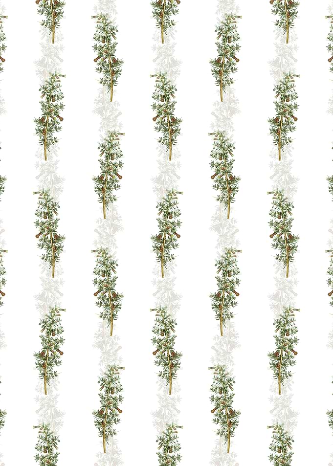 Kraal Honey Thorn Pattern