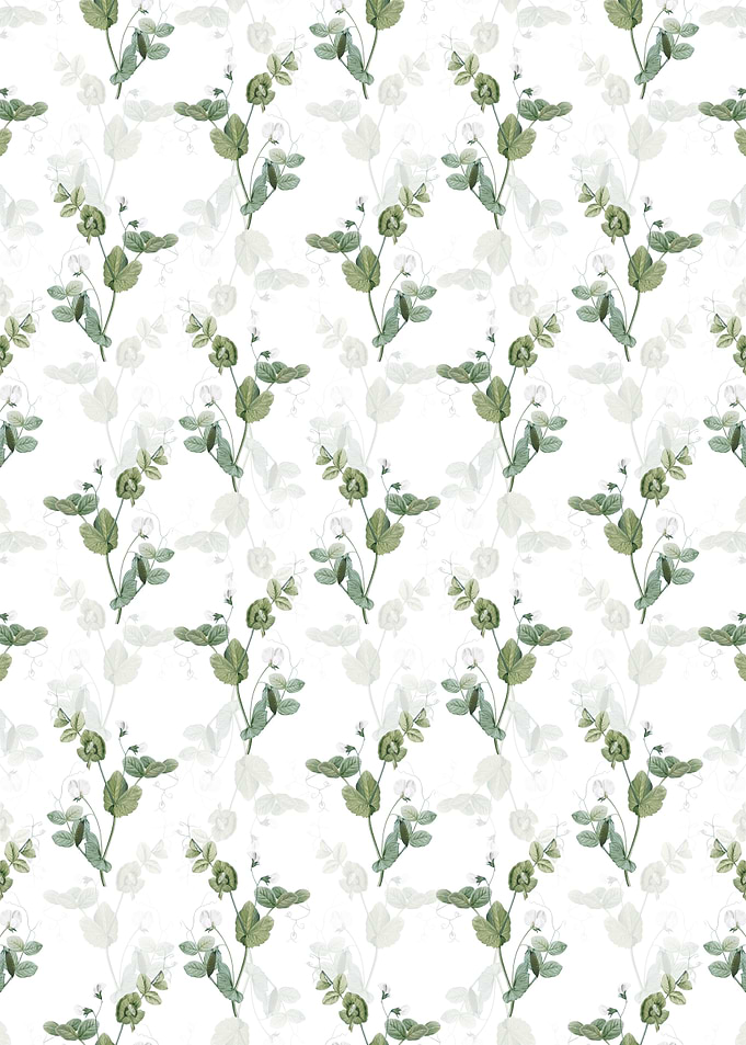 White Pea Flower Pattern