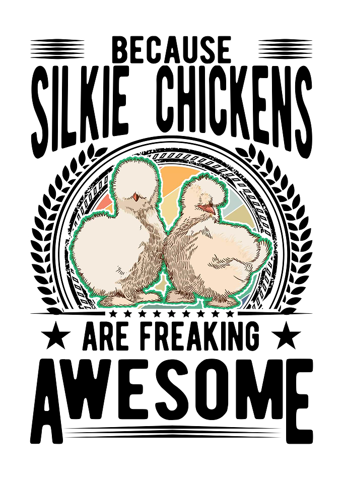 Silkie Chicken