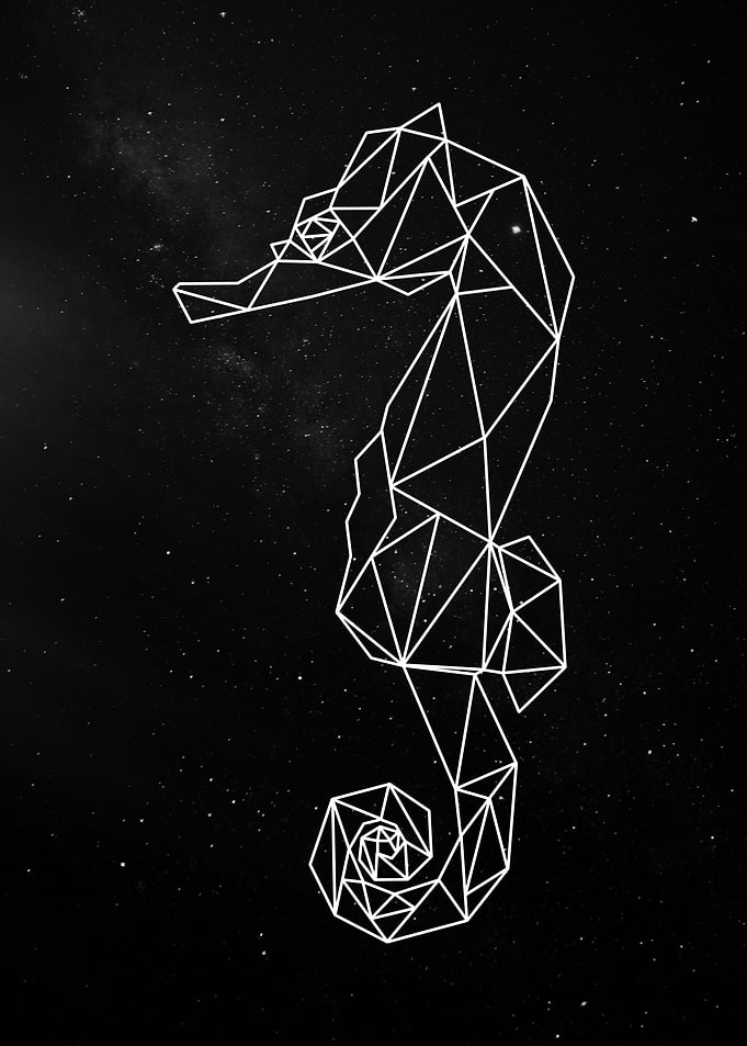 SEA HORSE
