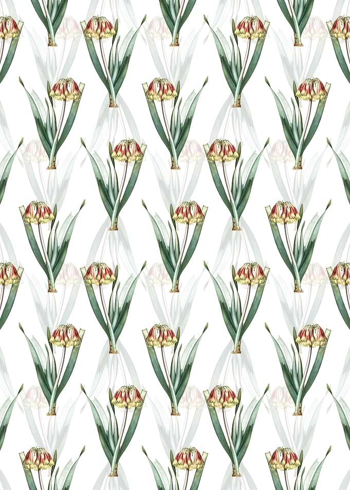 Floral Knysna Lily Pattern